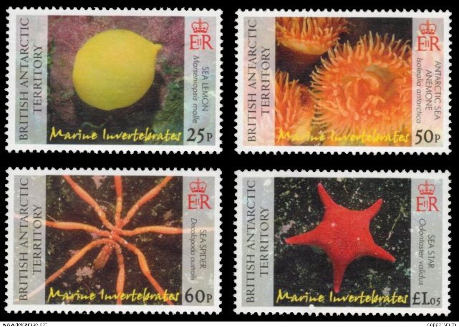 (095) Brit. Antarc. Territ. (BAT)  2007 / Fauna / Animals / Marine Life / Meerestiere  ** / Mnh  Michel 450-453 - Andere & Zonder Classificatie