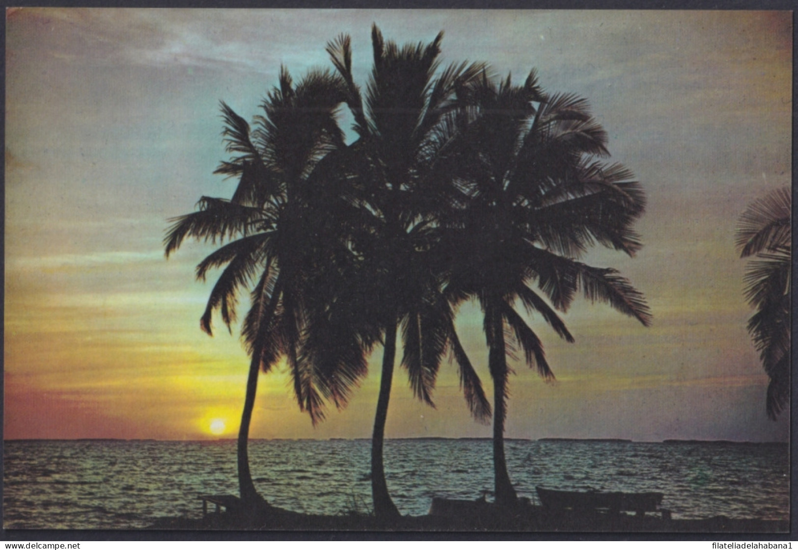 1974-EP-133 CUBA 1974 POSTAL STATIONERY M. GOMEZ. BIBIJAGUA BEACH PINES IS UNUSED.  - Sonstige & Ohne Zuordnung