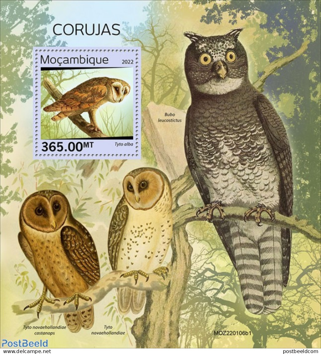 Mozambique 2022 Owls, Mint NH, Nature - Owls - Mozambique