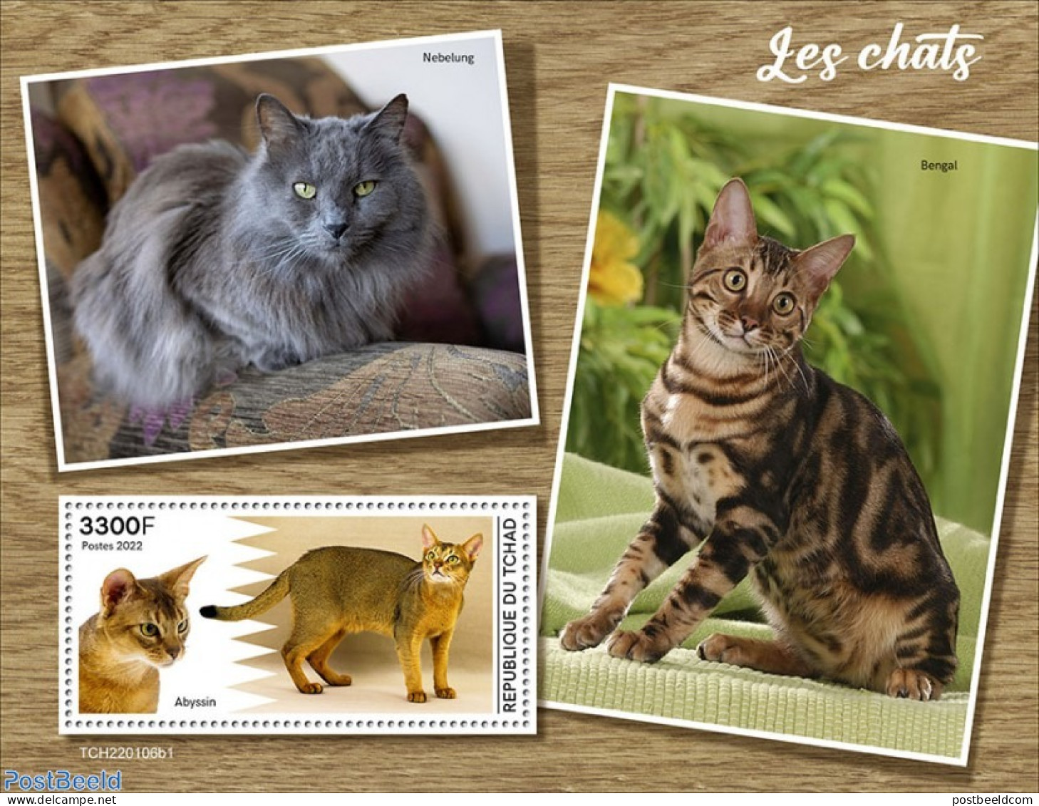 Chad 2022 Cats, Mint NH, Nature - Cats - Sonstige & Ohne Zuordnung