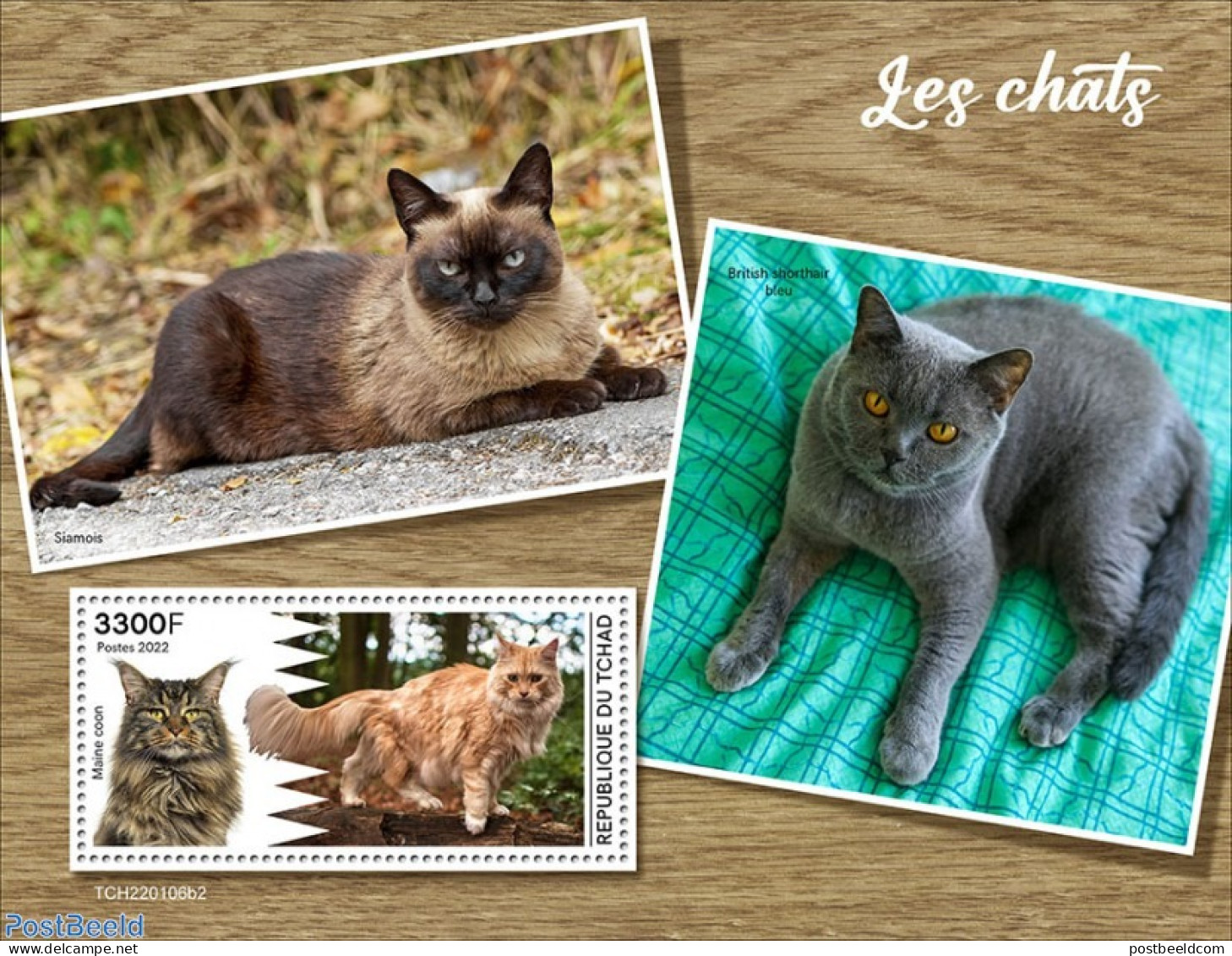 Chad 2022 Cats, Mint NH, Nature - Cats - Otros & Sin Clasificación