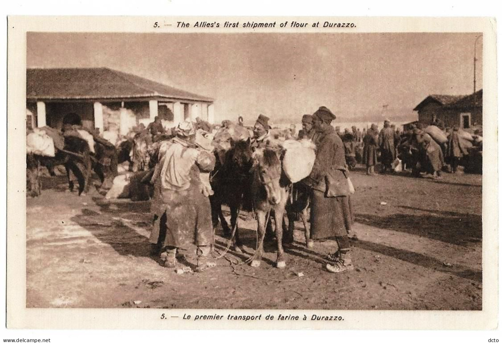 8 cpa Serbes en Albanie : Roi Pierre, armée Timok à Loumkoulé, colonne serbe Durazzo, fugitifs dans l'Arménia, Essad-Pac