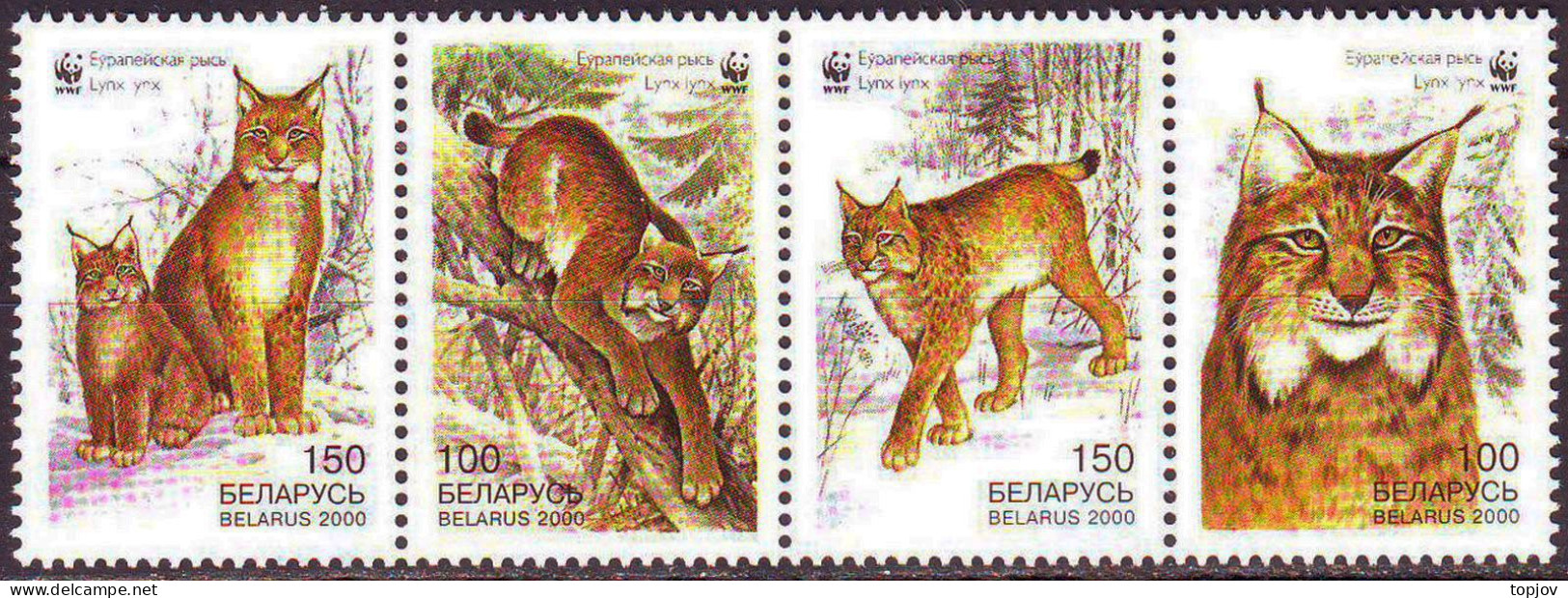 BELARUSIA - WWF WILD CAT Lynx - **MNH - 2000 - Unused Stamps