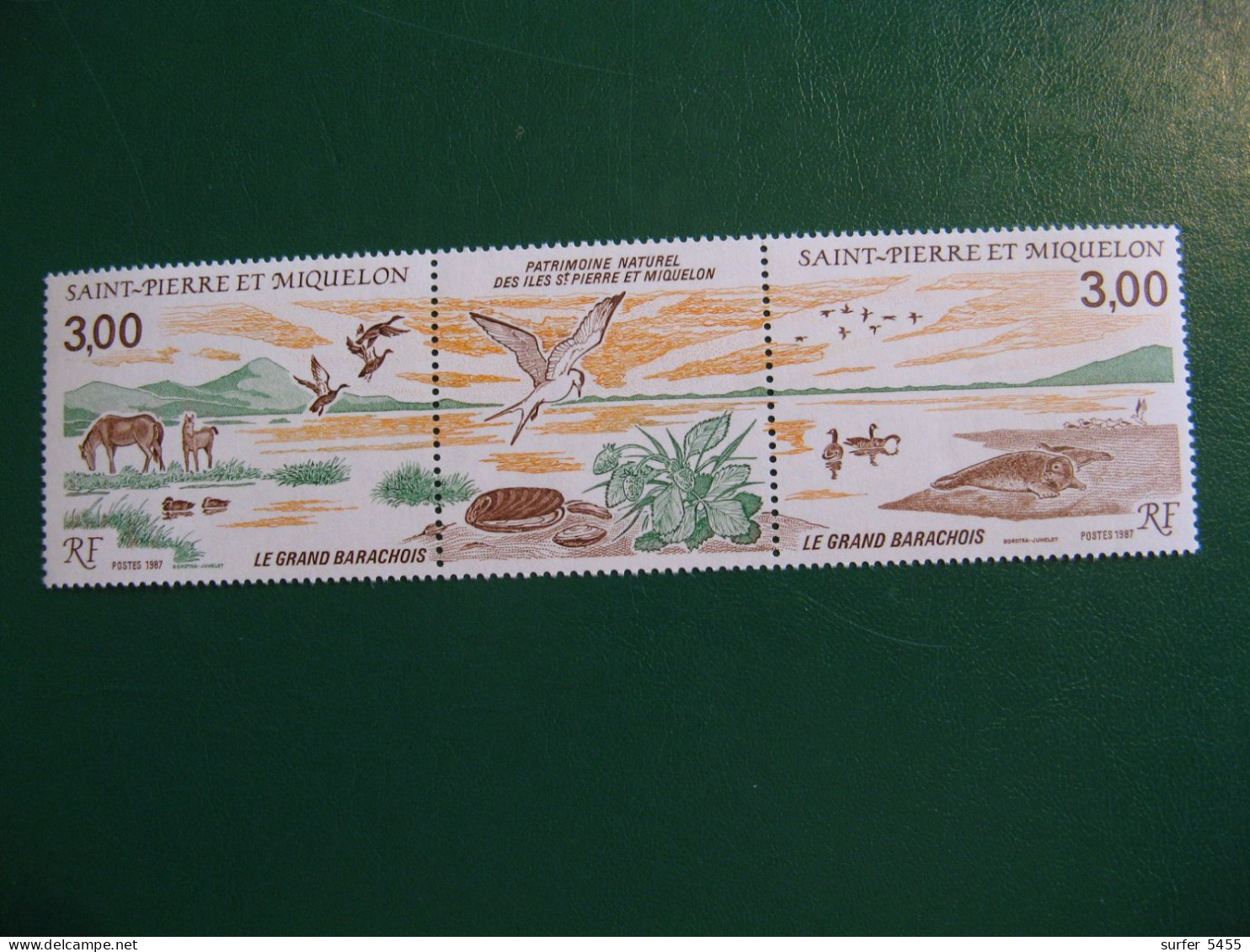 SAINT PIERRE ET MIQUELON YVERT POSTE ORDINAIRE N° 485A TIMBRES NEUFS** LUXE - MNH - COTE 5,50 EUROS - Unused Stamps