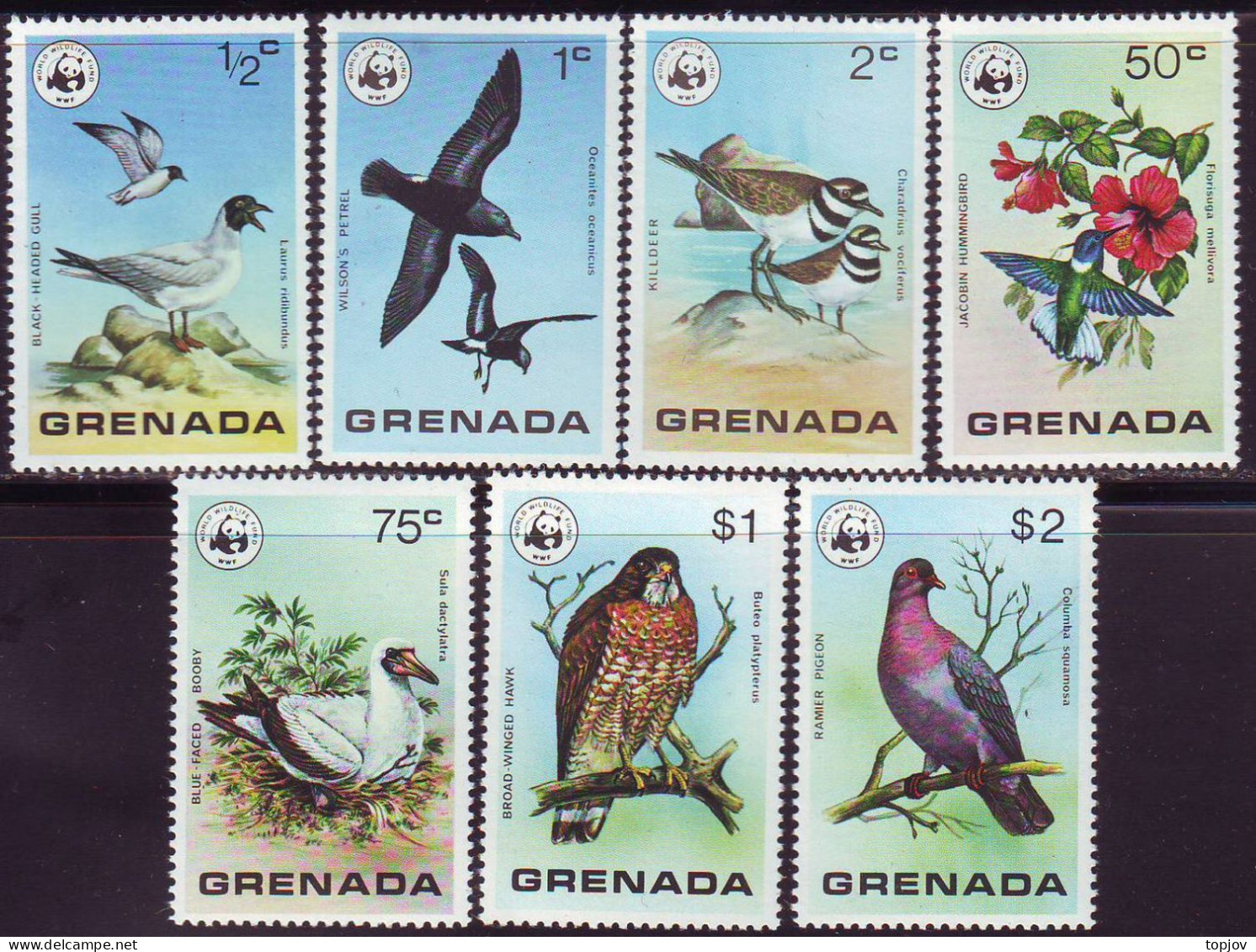 GRENADA - WWF  BIRDS  PIGEON  EAGLE - **MNH - 1987 - Neufs