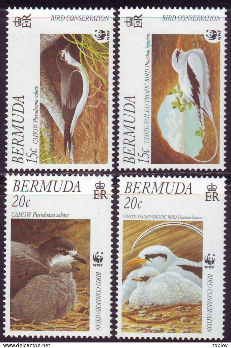 BERMUDA - WWF  BIRDS  - **MNH - 2001 - Unused Stamps