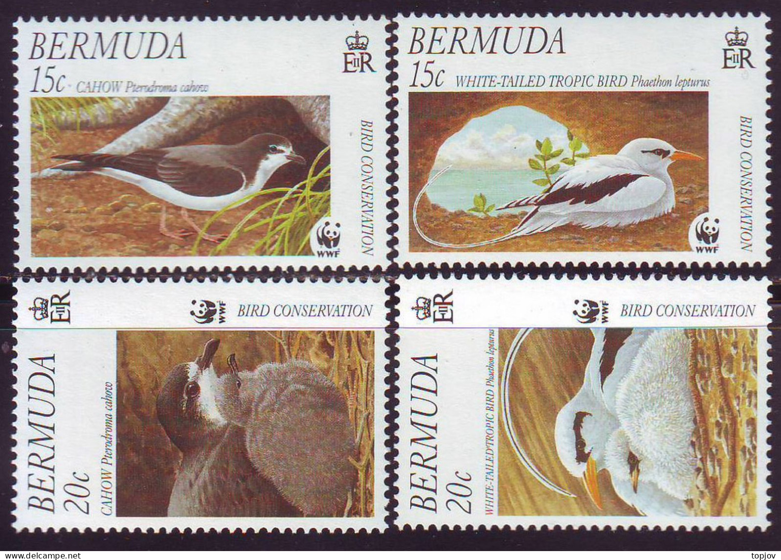 BERMUDA - WWF  BIRDS  - **MNH - 2001 - Piccioni & Colombe