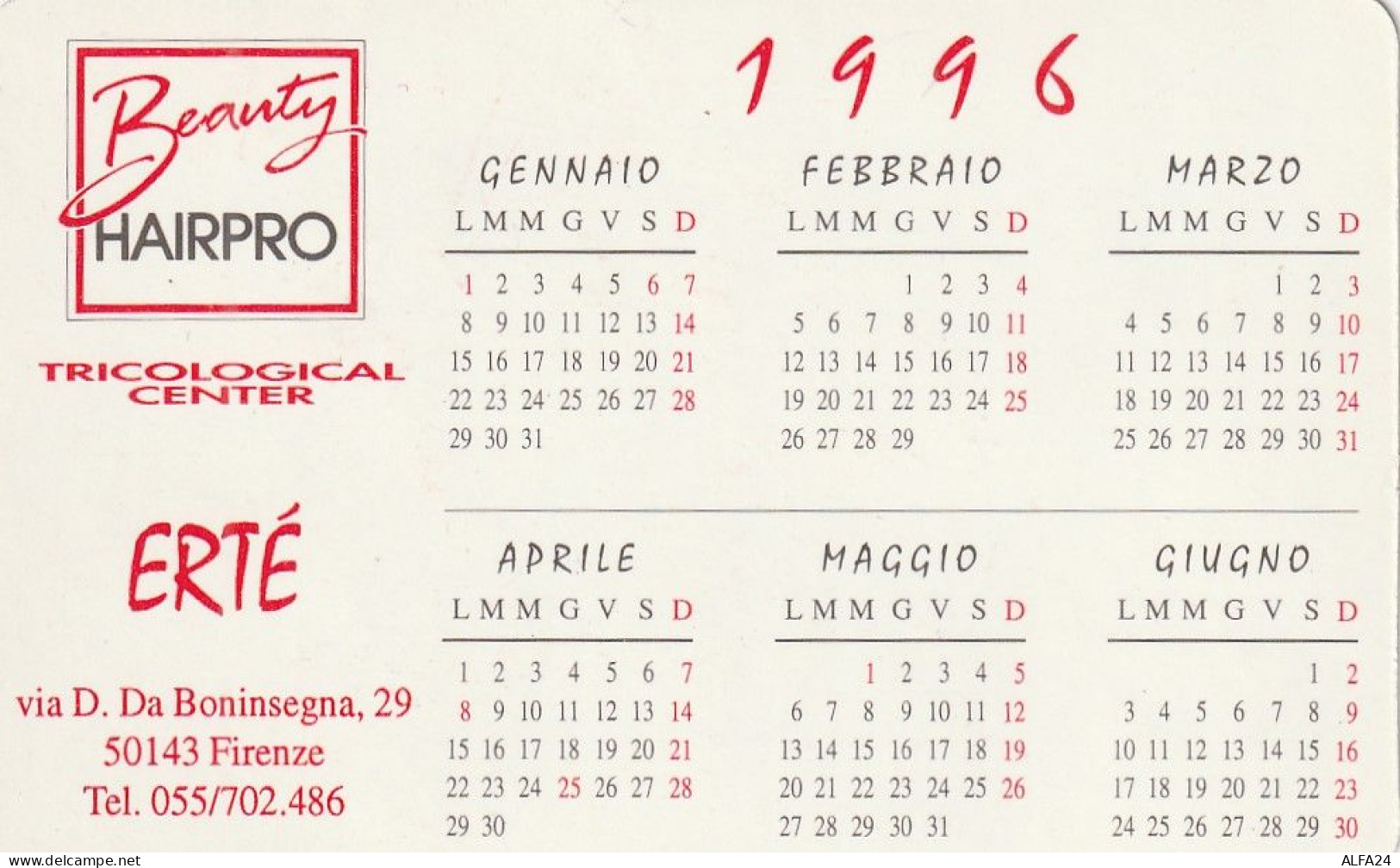 CALENDARIO 1996 FORMATO PICCOLO (MH279 - Small : 1991-00