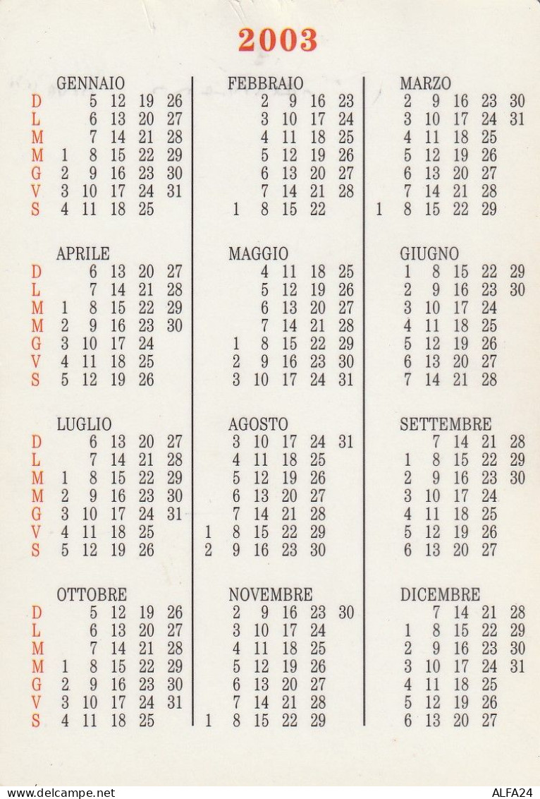 CALENDARIO 2003 FORMATO PICCOLO (MH243 - Formato Piccolo : 2001-...