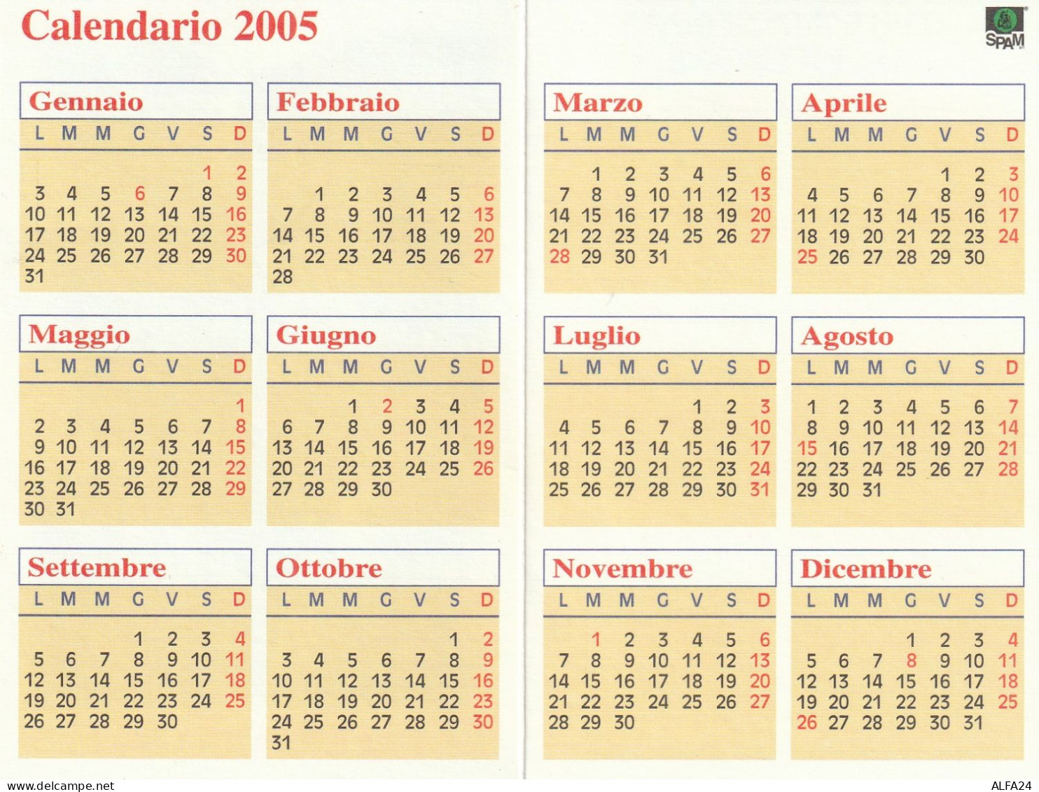 CALENDARIO 2005 FORMATO PICCOLO (MH239 - Klein Formaat: 2001-...