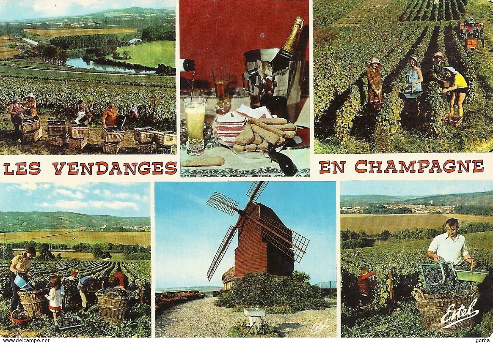 *CPM - FRANCE - CHAMPAGNE-ARDENNES - Les Vendanges - Multivues - Champagne-Ardenne