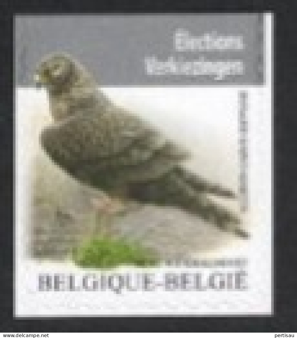 Blauwe Kiekendief Verkiezingszegel Uit Boekje 2024 - Unused Stamps