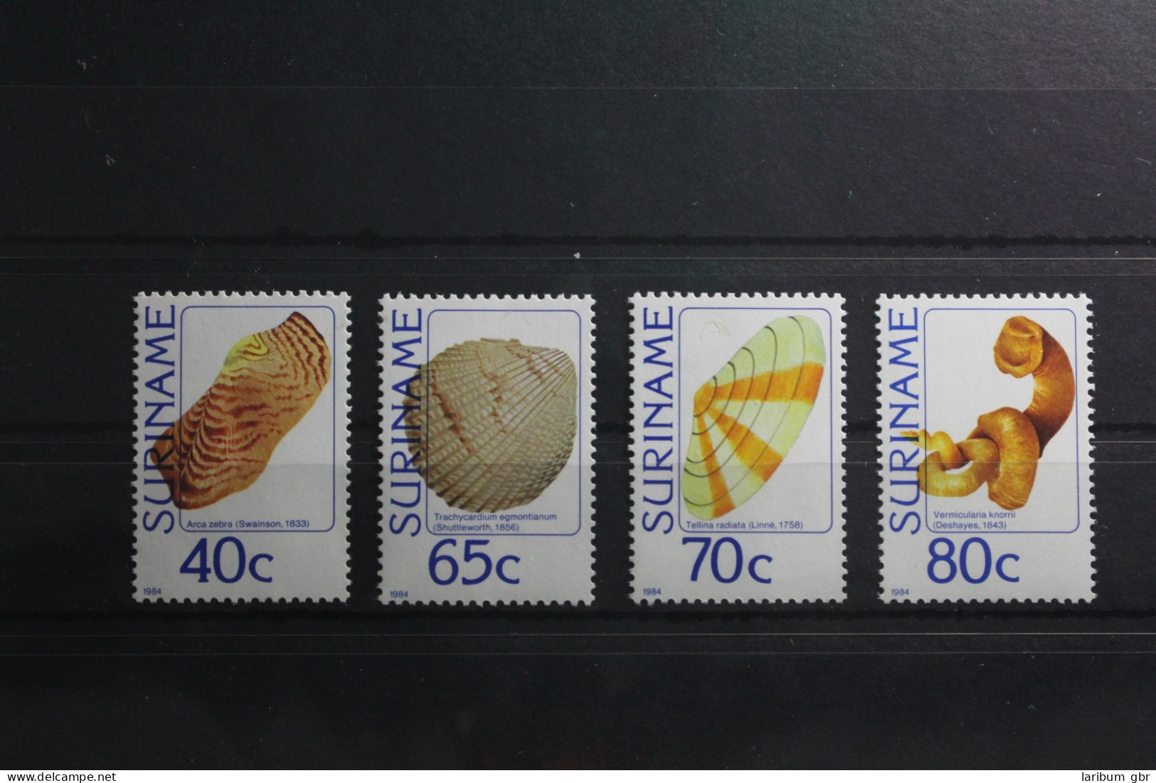 Suriname 1071-1074 Postfrisch Muscheln Und Schnecken #TR863 - Suriname