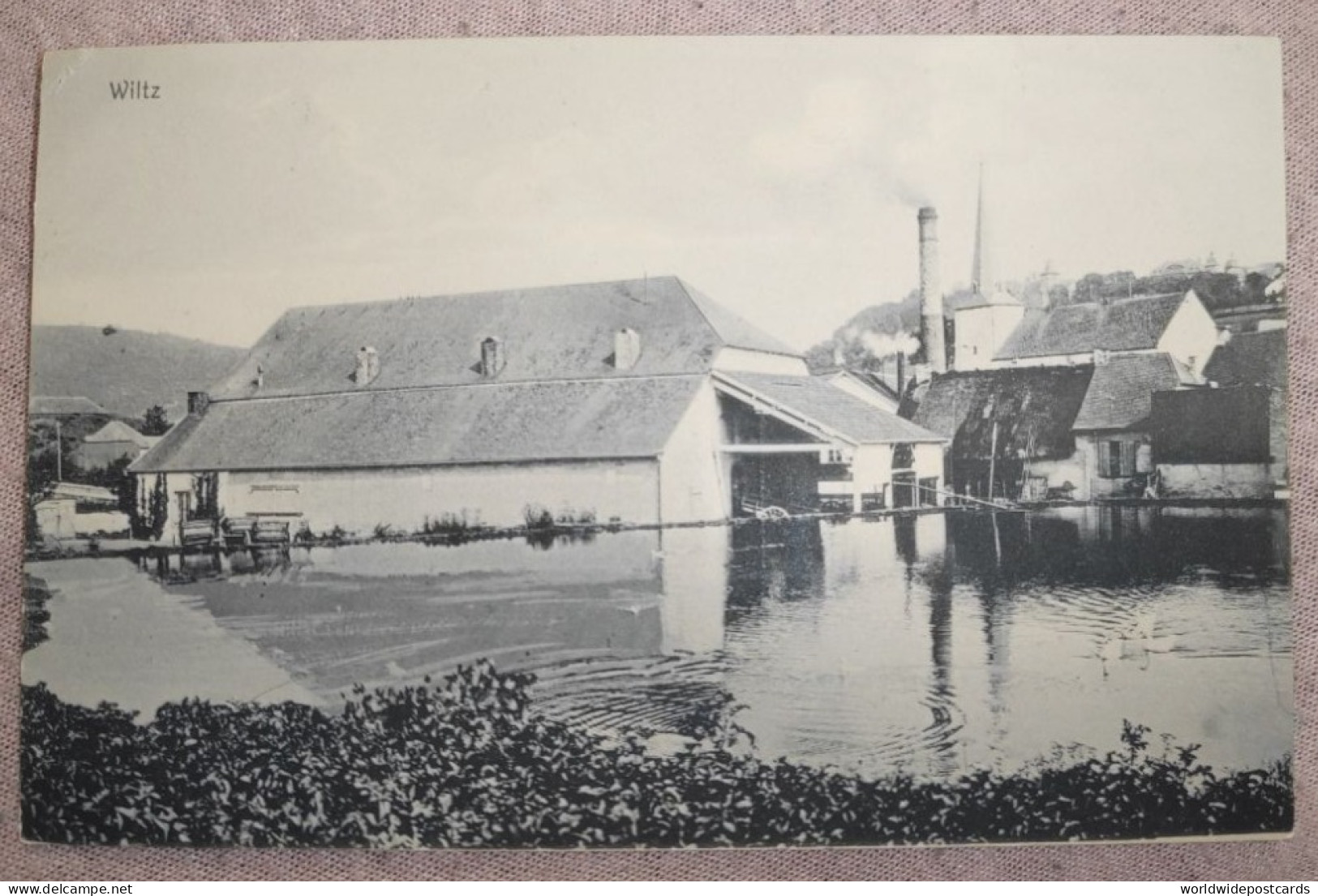 A1233 WILTZ - BRASSERIE SIMON AVEC ÉTANG ED. NELS METZ - Wiltz