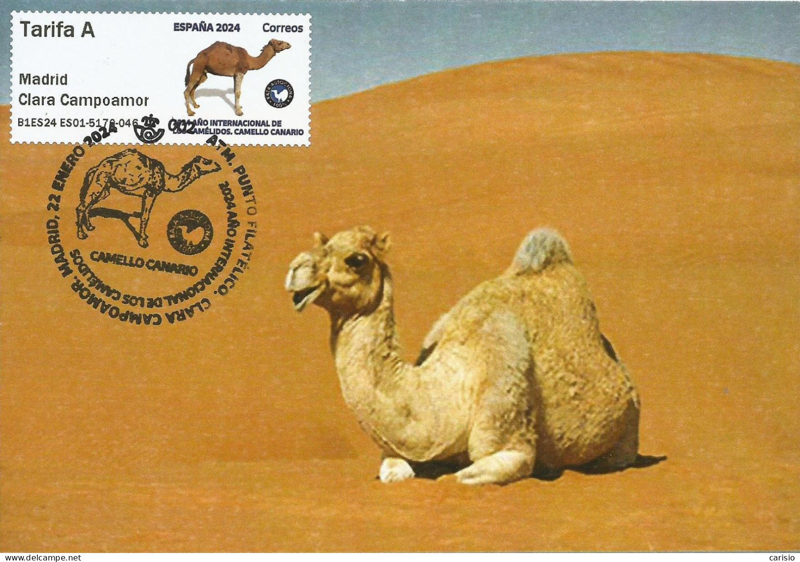 Spain Maxicard 2024– España Tarjeta Máxima Con Sello Atm Camello Canario - Cartoline Maximum