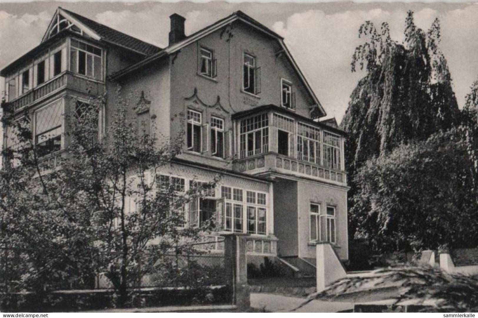 54541 - Bad Rothenfelde - Haus Jungborn - Ca. 1955 - Bad Rothenfelde