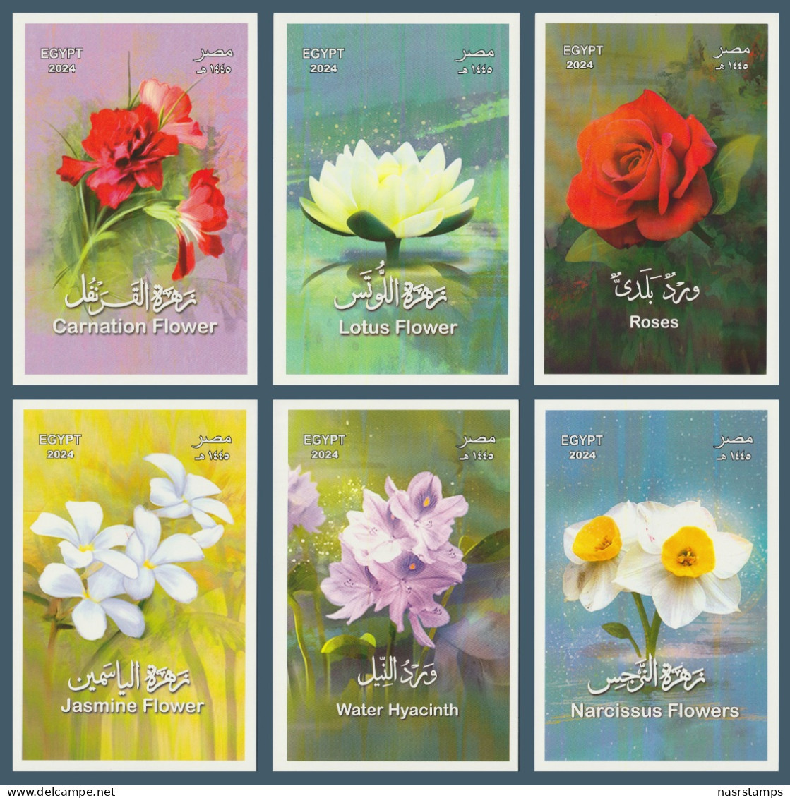 Egypt - 2024 - 6 Max. Cards - ( Flowers From EGYPT ) - Rosas