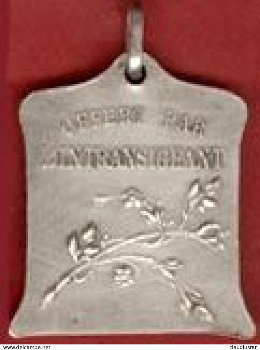 ** MEDAILLE  BREVET  Du  NAGEUR  SCOLAIRE  +  PROFESSEURS  NATATION  De  FRANCE ** - Natation