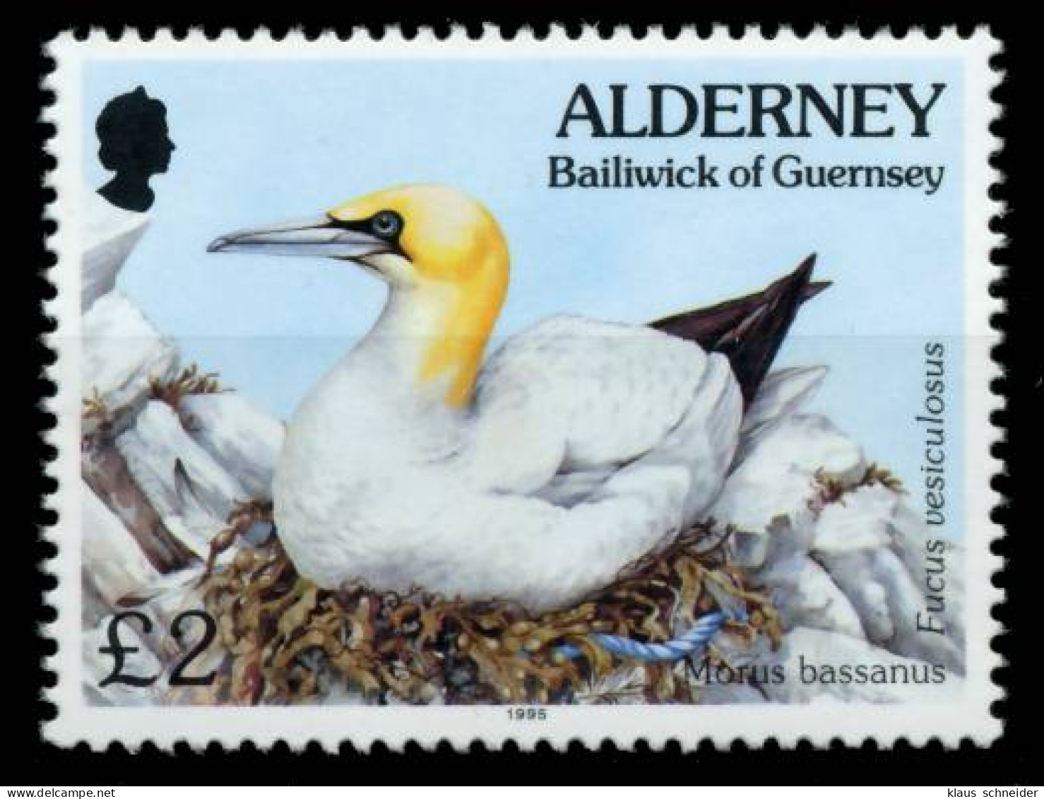 ALDERNEY Nr 82 Postfrisch X6A690A - Alderney