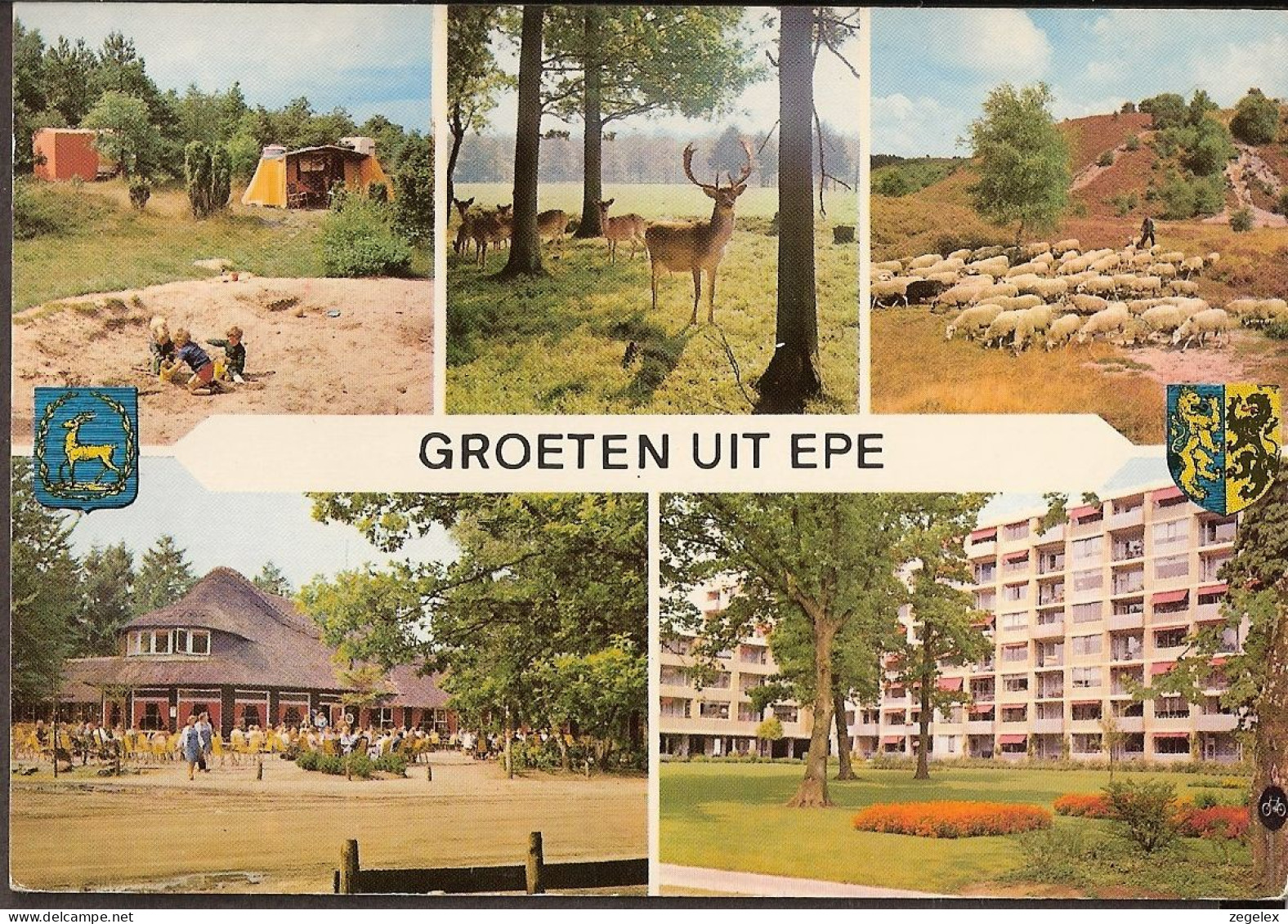 Epe - Hertje, Schaapskudde, Camping - Epe