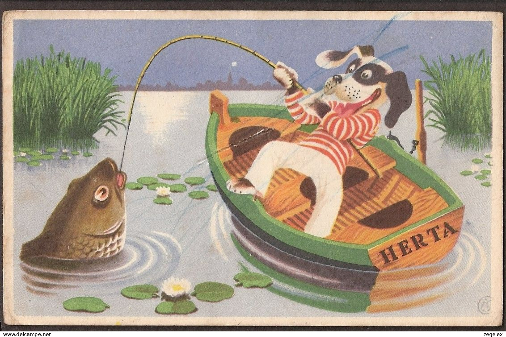 Groeten Uit Mooi Veluwe - Putten - 1952 - Le Chien Pêche - Putten