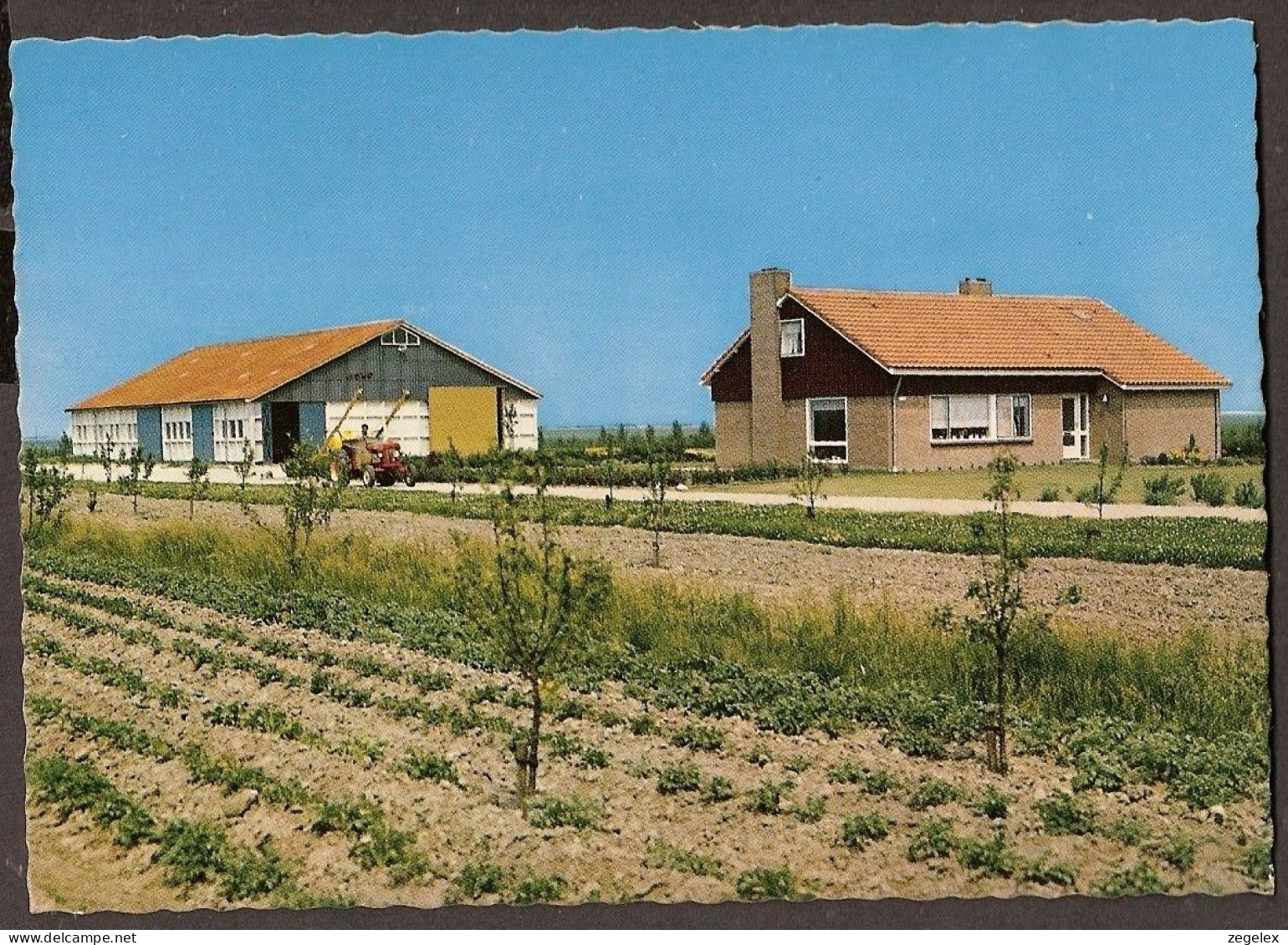 The Netherlands - D-Boerderij + Ontginningsschuur. Farm, Ranch - Boerderijen