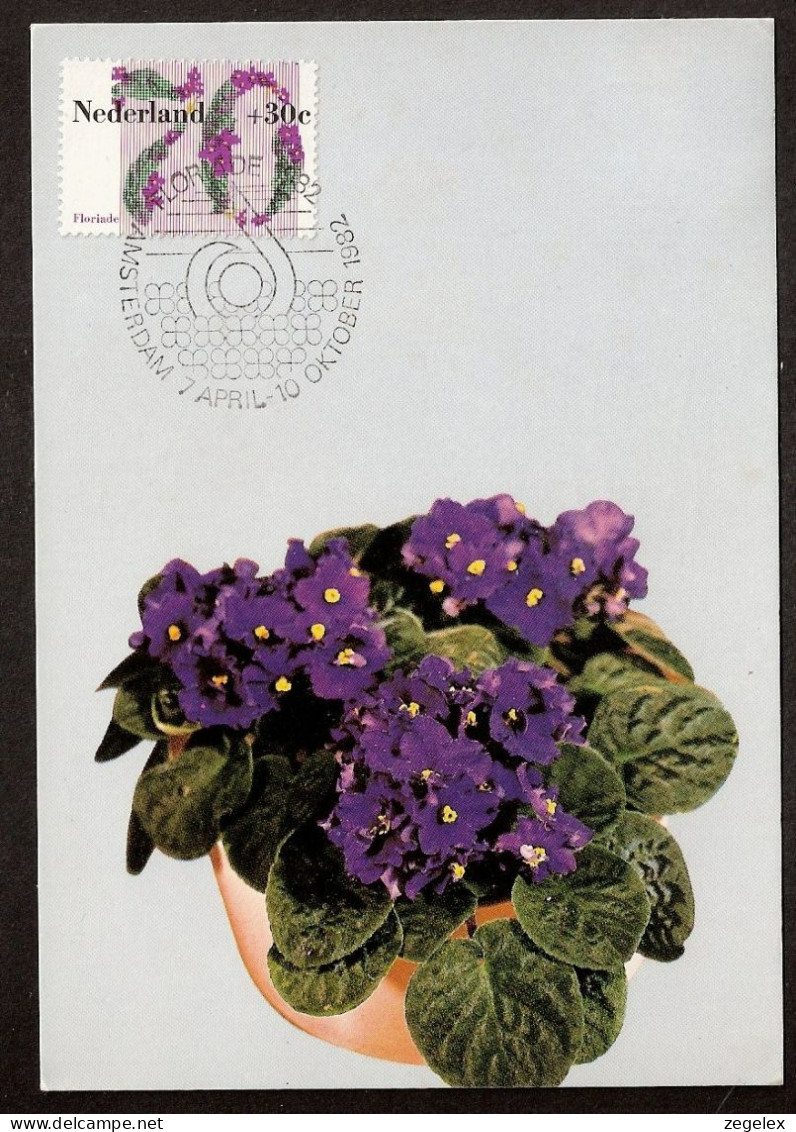 Kaapsviooltje - Zie Zegel Met Zelfde Plantje Op Voorzijde. Stamp With Same Flower On Frontside  - Covers & Documents