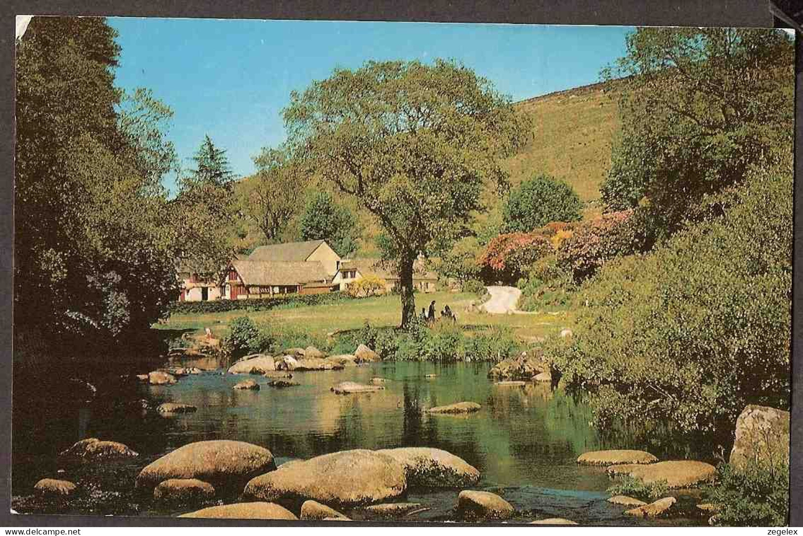 Dartmeet, Dartmoor - Badgers Holt - Picknick Under The Tree - Dartmoor