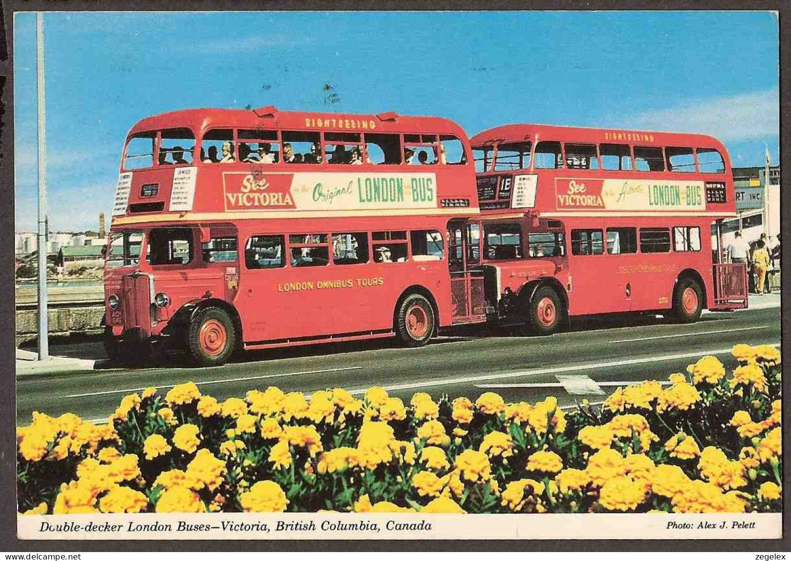 Victoria - British Columbia, Canada - Double-decker London Buses - Victoria