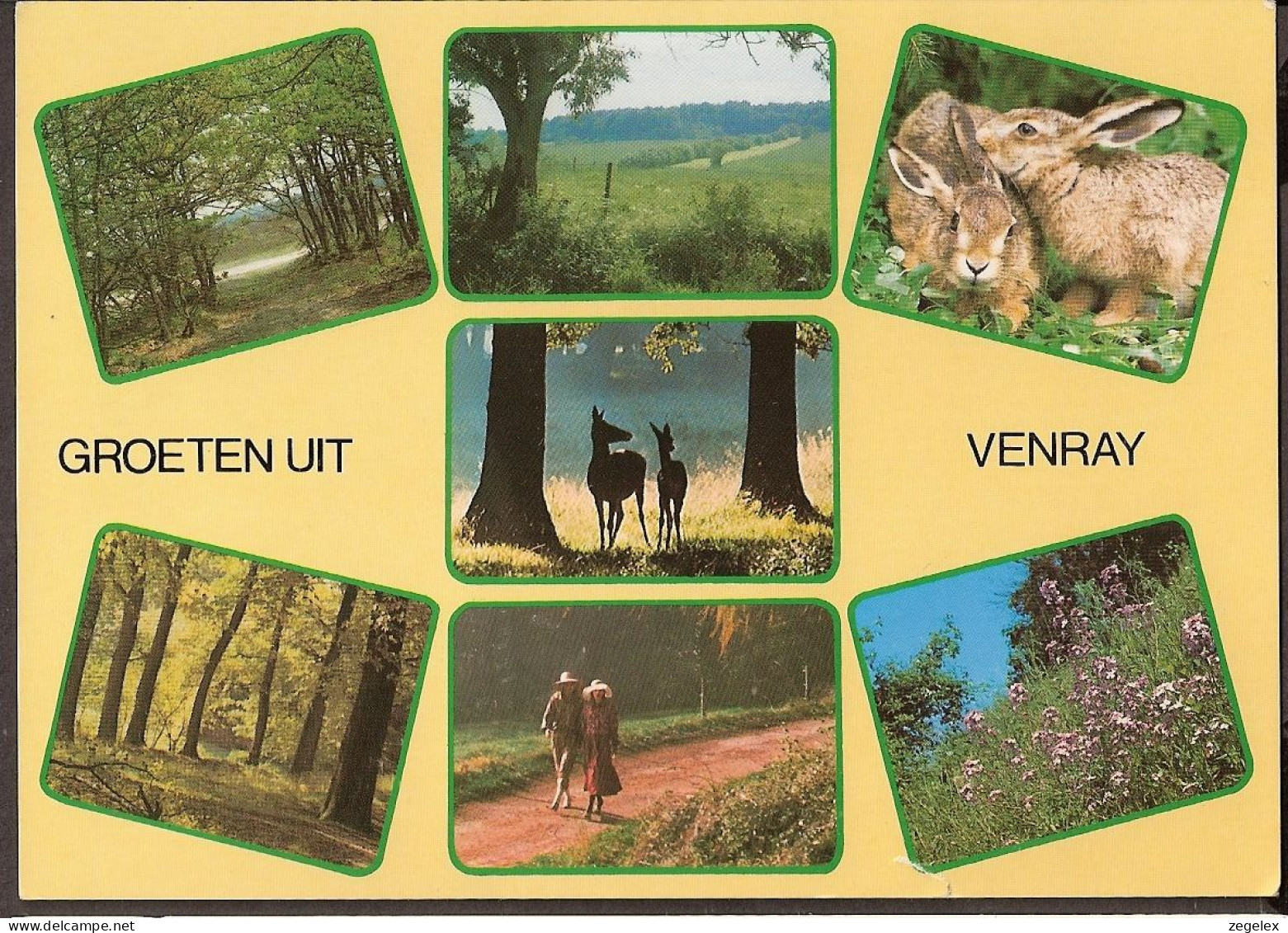 Venray - Konijntjes, Herten, Lapins, Deer. - Venray