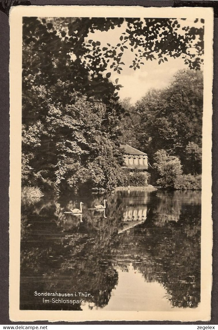 Sonderhausen I. Thür Im Schlosspark - Sondershausen