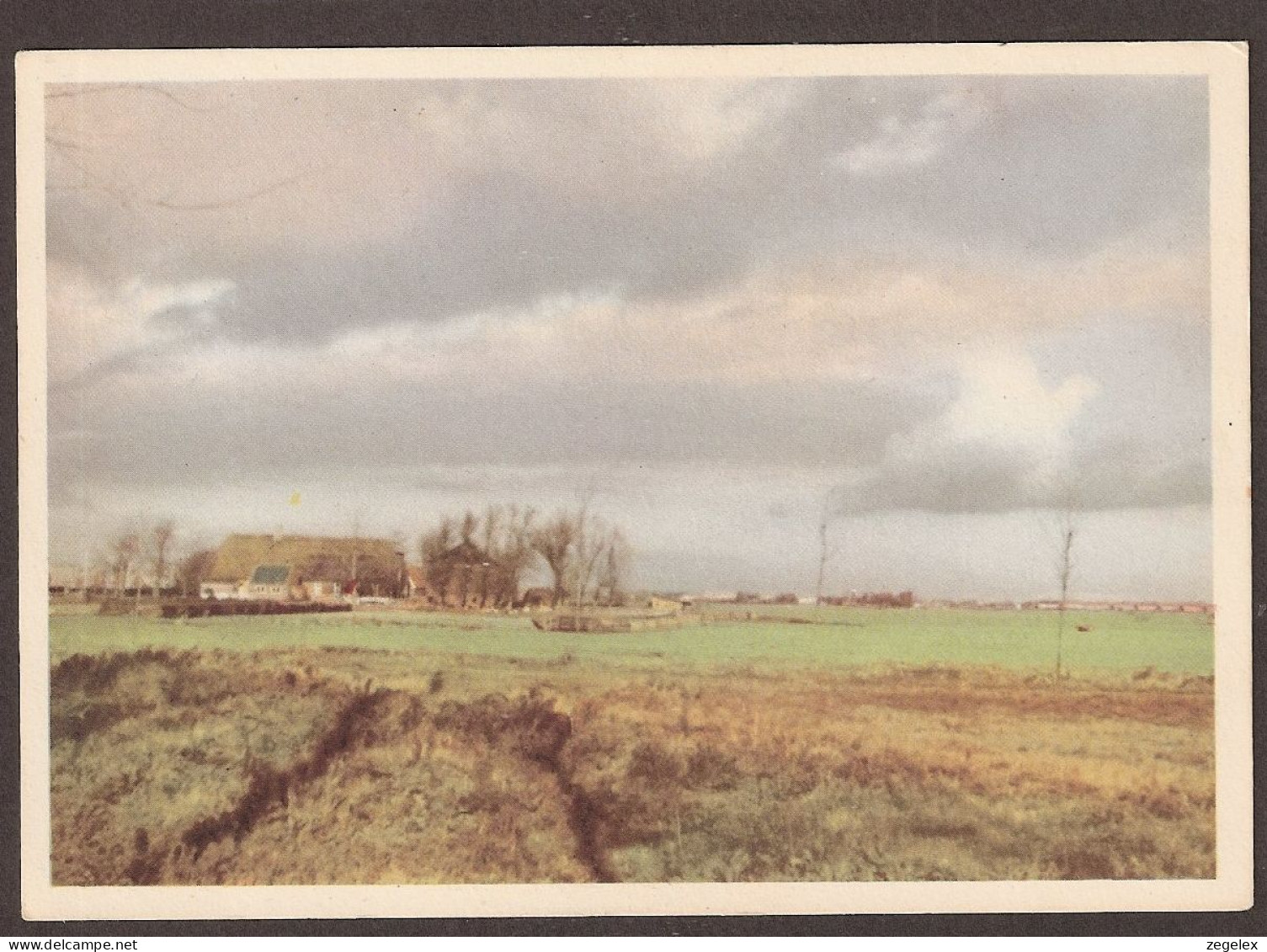 Ferme , Ranche, Boerderij, Bauernhof Im Polderlandschaft (NL) - Granja