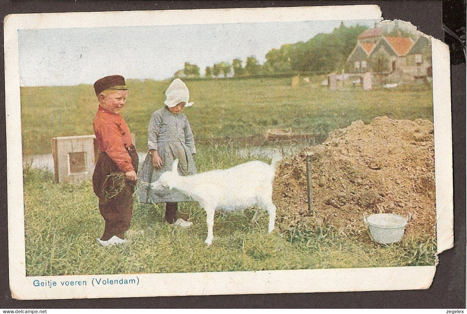 Volendam - Kinderen Voeren Het Geitje - Enfants Avec Chèvre - Volendam