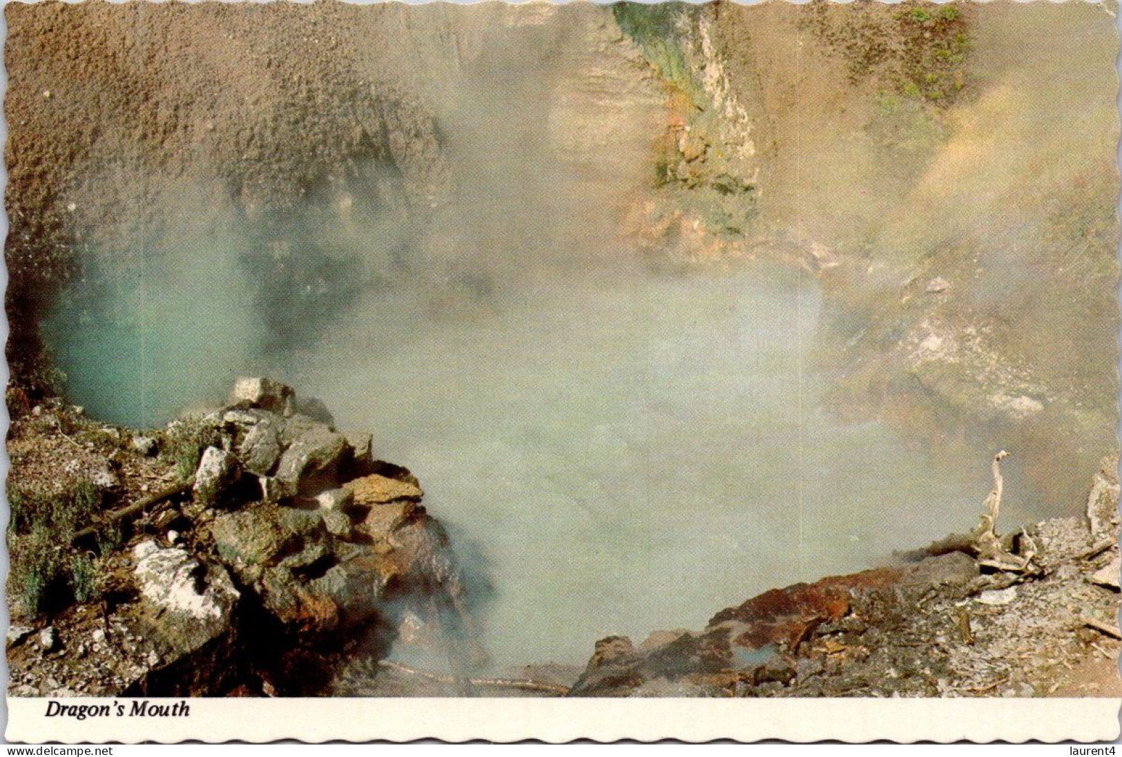 30-3-2024 (4 Y 27) USA - Yellowstone National Park (3 Postcards) - Yellowstone