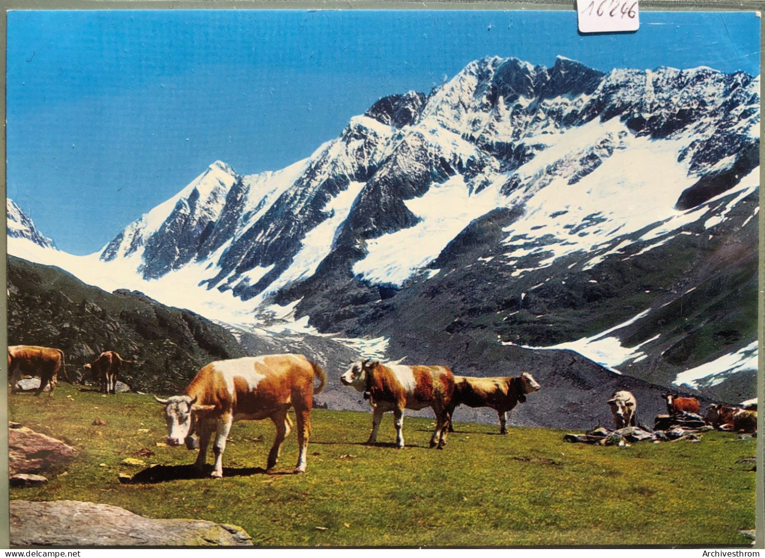 Guggialp Bei Fafleralp Im Lötschental (16'246) - Goms