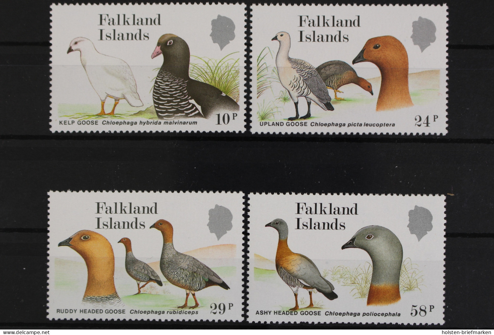 Falklandinseln, MiNr. 480-483, Postfrisch - Islas Malvinas