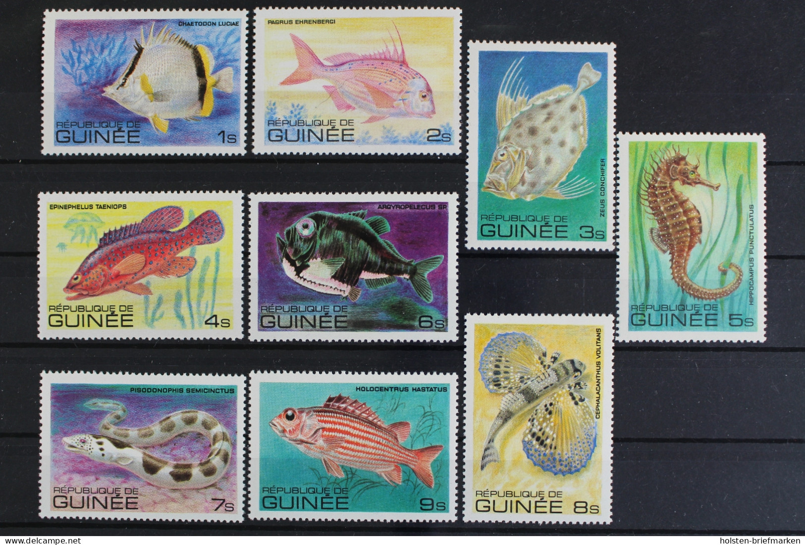 Guinea, Fische / Meerestiere, MiNr. 871-882, Postfrisch - República De Guinea (1958-...)