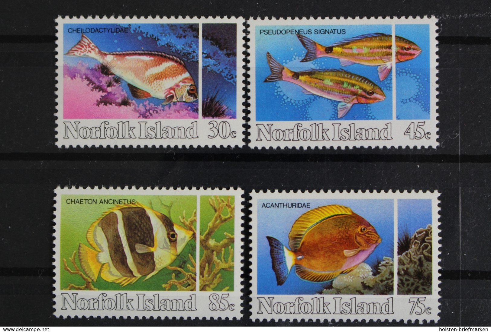 Norfolk Inseln, Fische / Meerestiere, MiNr. 335-338, Postfrisch - Isla Norfolk