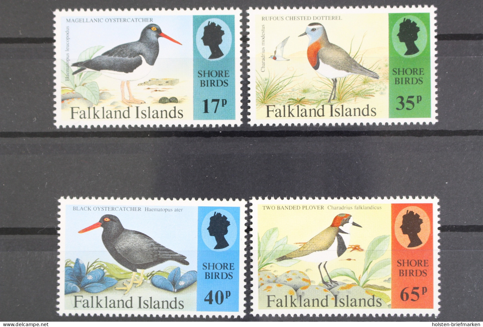 Falklandinseln, MiNr. 640-643, Postfrisch - Islas Malvinas