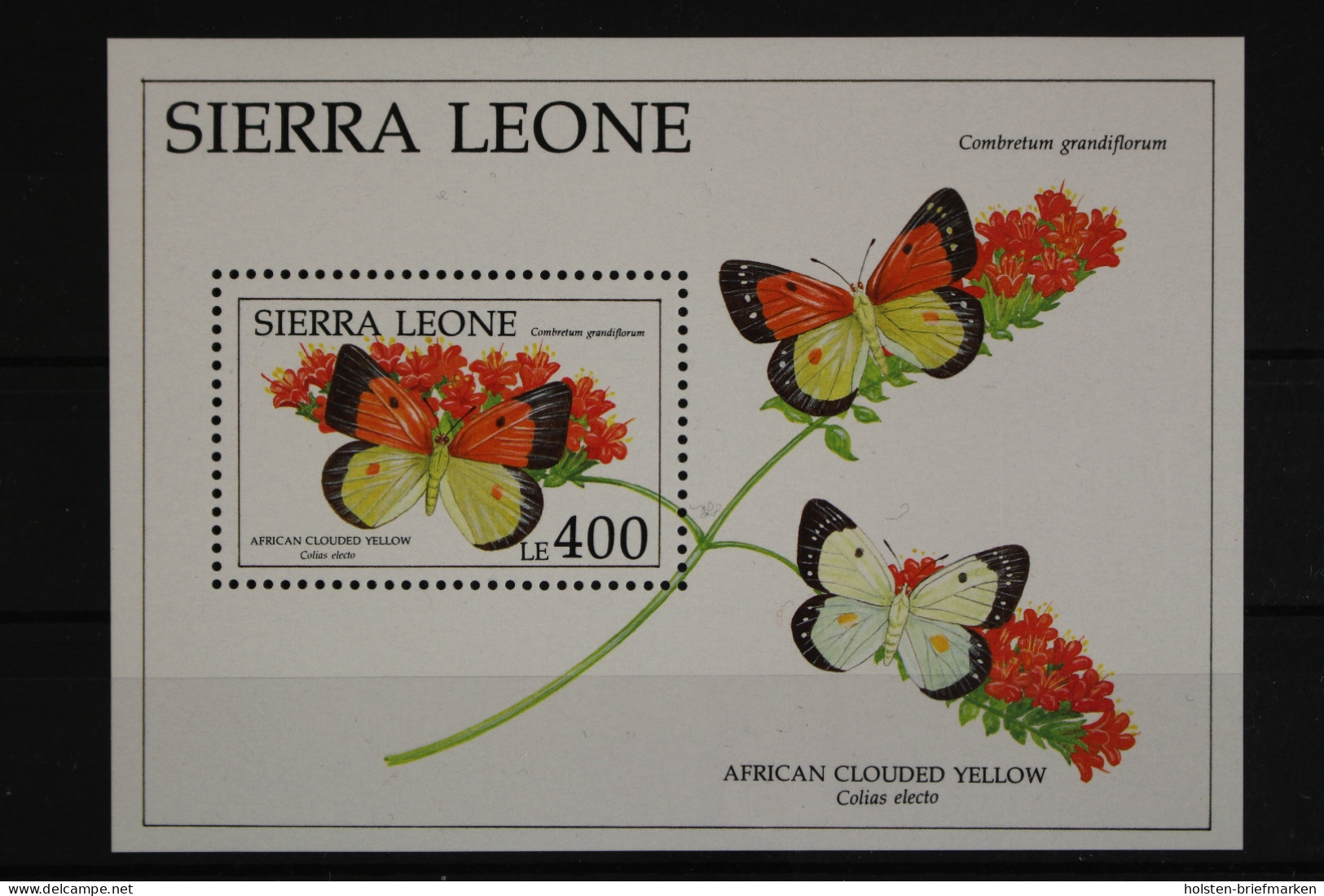 Sierra Leone, Schmetterlinge, MiNr. Block 170, Postfrisch - Sierra Leone (1961-...)