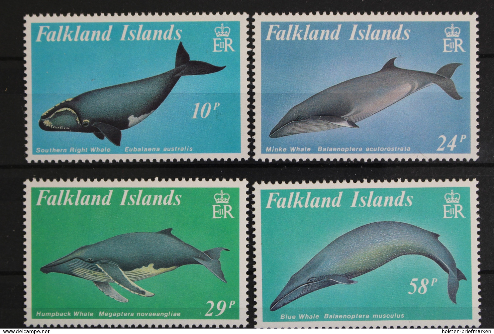 Falklandinseln, MiNr. 503-506, Postfrisch - Islas Malvinas