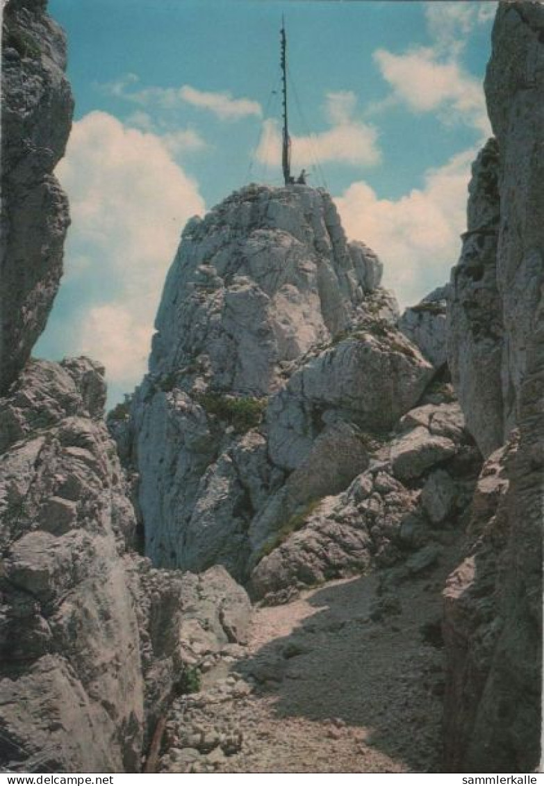 101739 - Kampenwand - Ostgipfel - Ca. 1975 - Chiemgauer Alpen