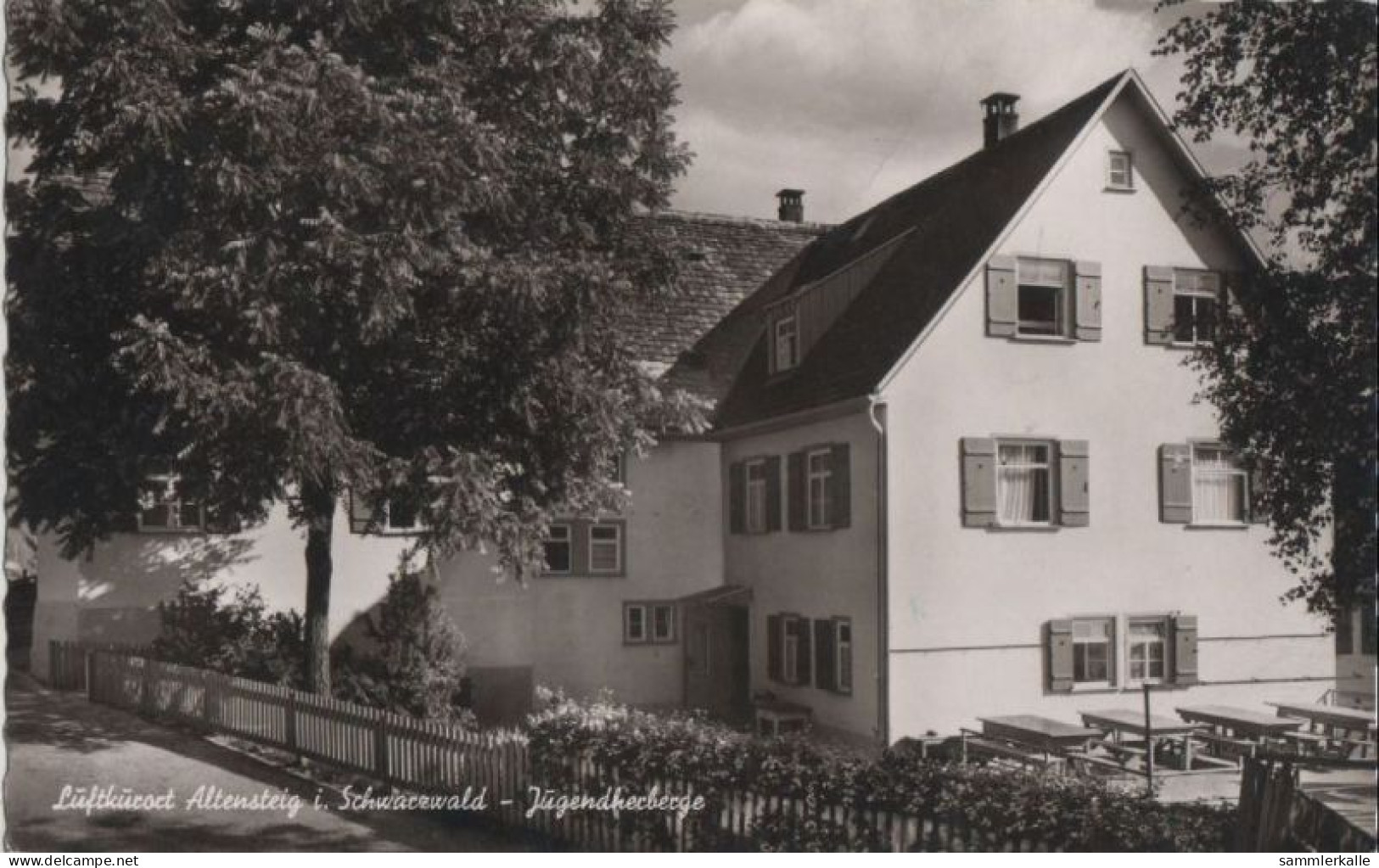 68268 - Altensteig - Jugendherberge - 1959 - Altensteig