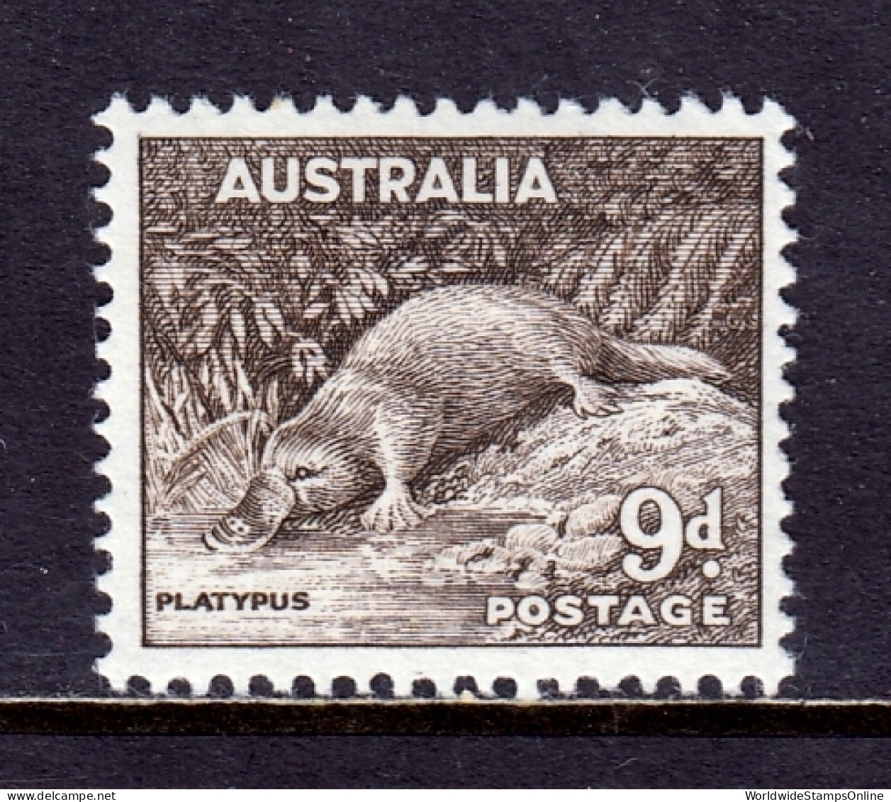 Australia - Scott #174a - MNH - SCV $9.75 - Ongebruikt