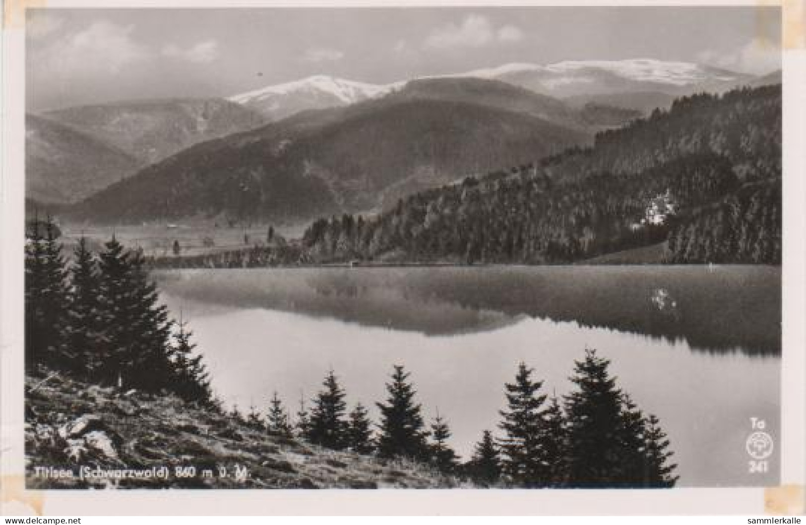 6510 - Titisee Schwarzwald - Ca. 1955 - Titisee-Neustadt