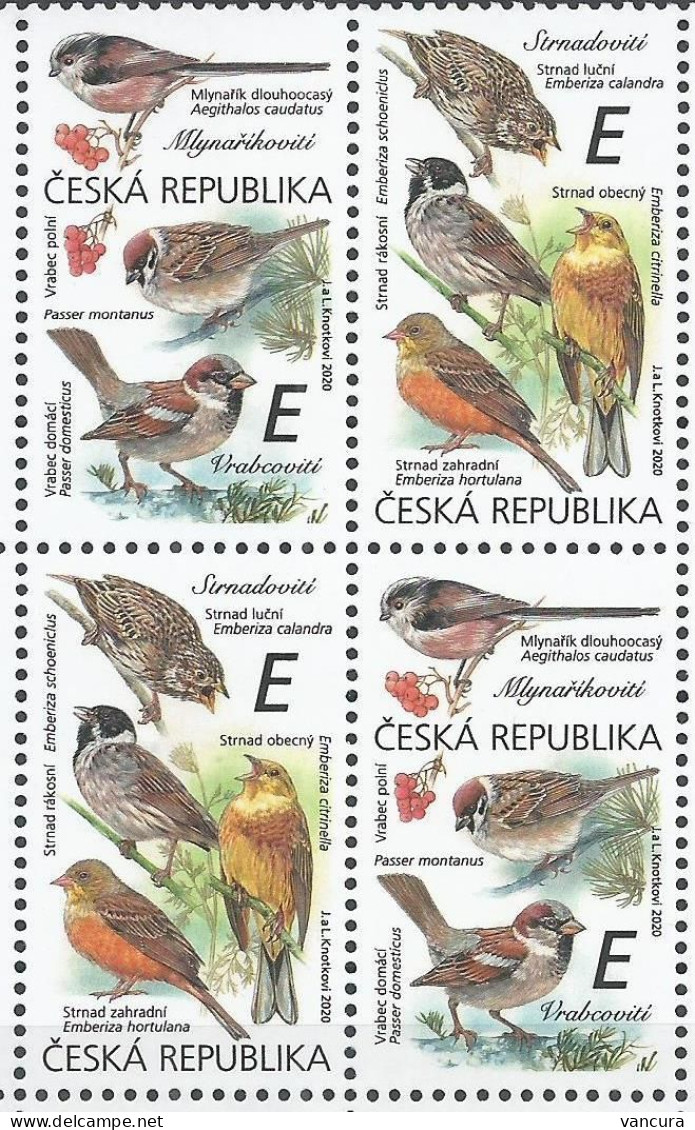 1083 - 4 Czech Republic Birds Bubting Bushtit Sparrow 2020 - Sperlingsvögel & Singvögel