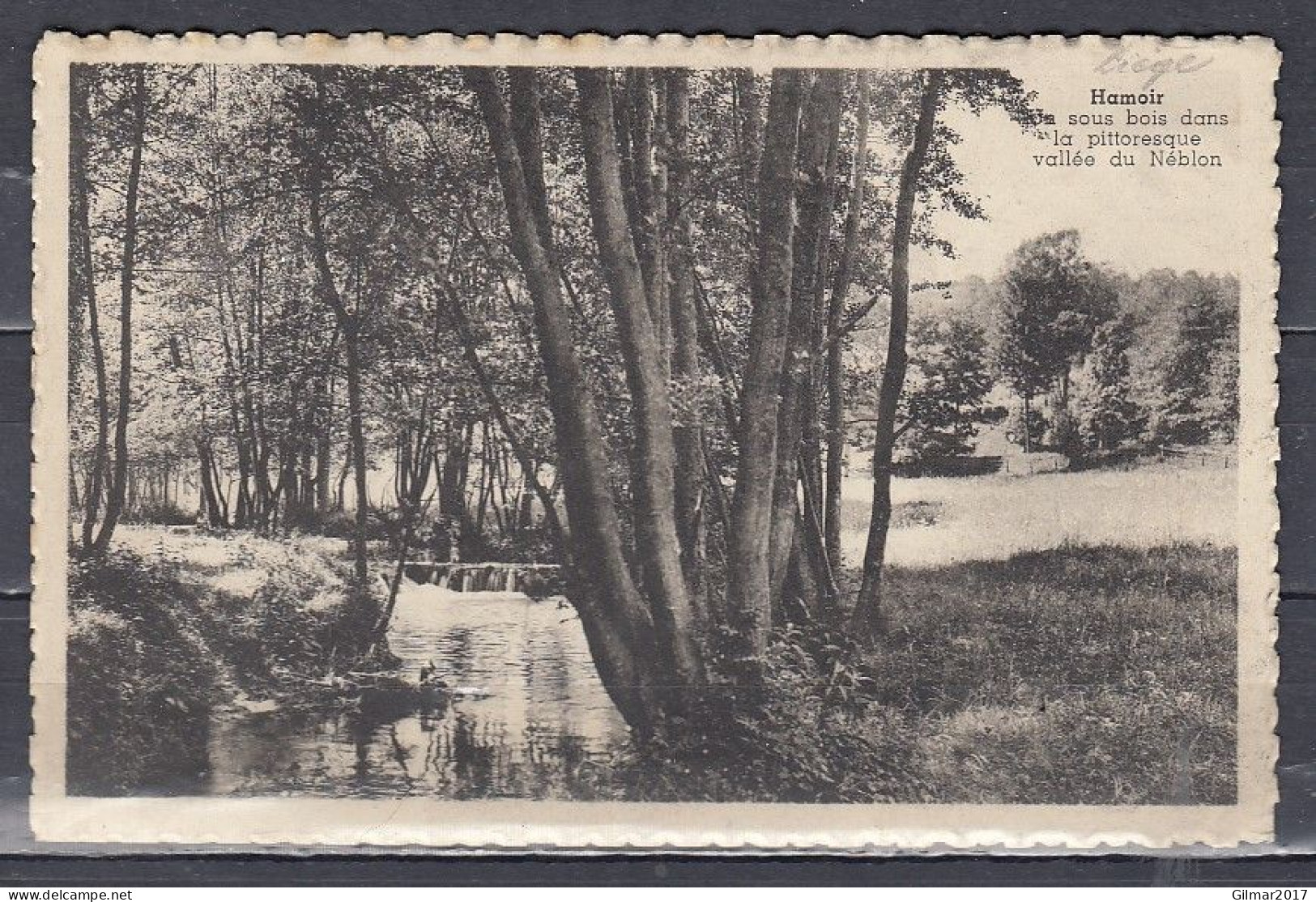 Postkaart Van Liege 3 Naar Berchem Met Langstempel Hamoir - Griffes Linéaires