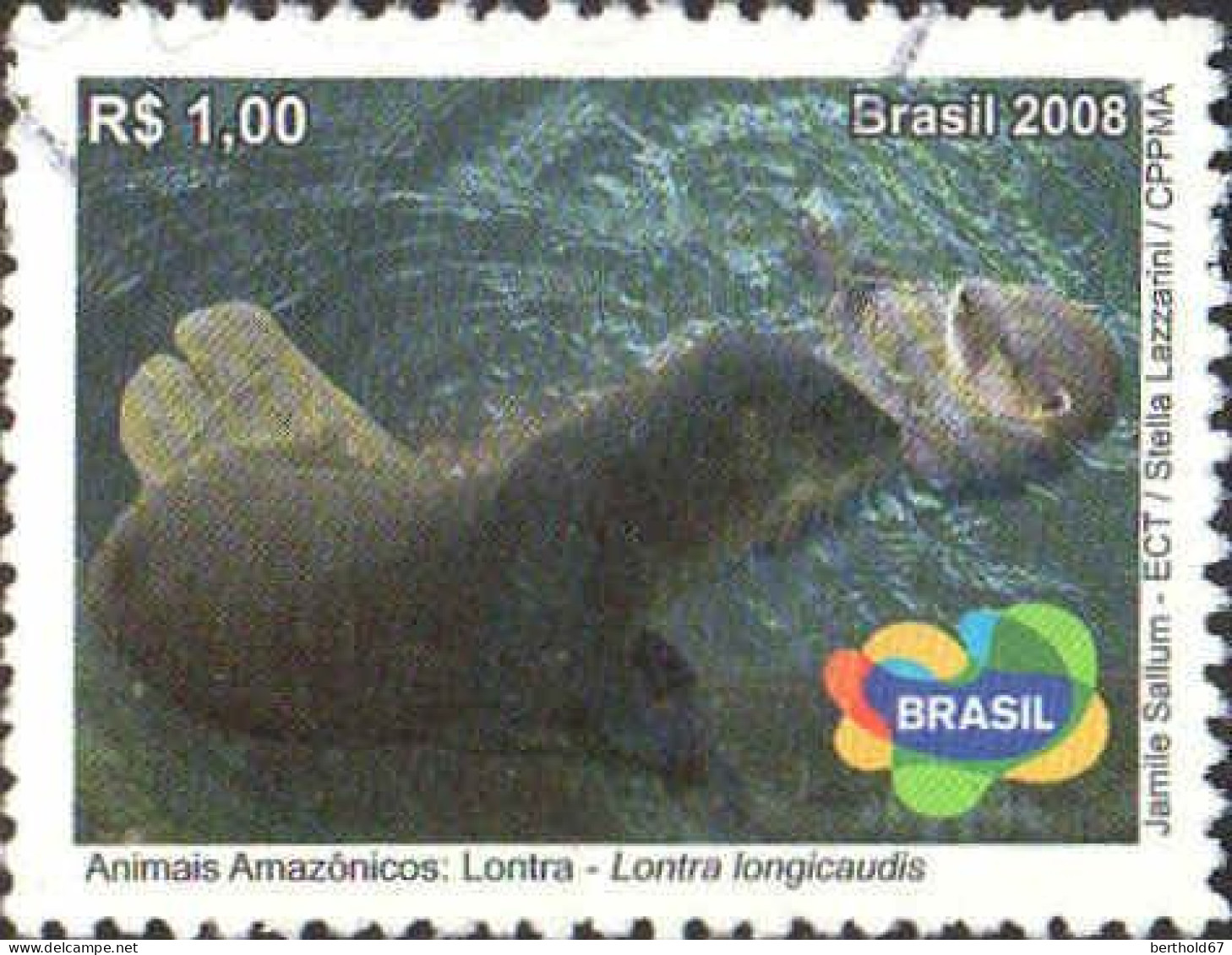Brésil Poste Obl Yv:3066 Mi:3566 Lontra Lontra Longicaudis (cachet Rond) - Oblitérés