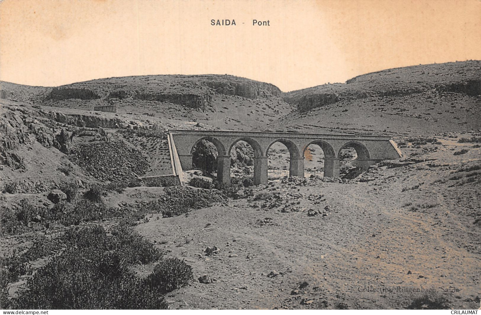 ET-ALGERIE SAIDA-N°T2944-E/0035 - Saïda