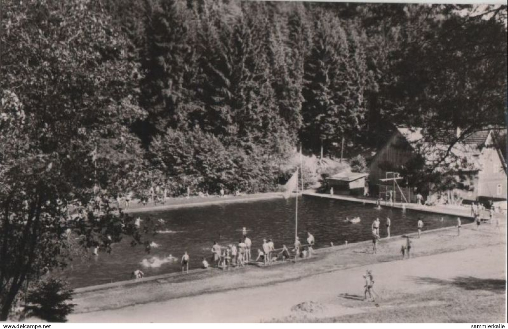 76628 - Auengrund-Crock - Waldbad - 1963 - Hildburghausen